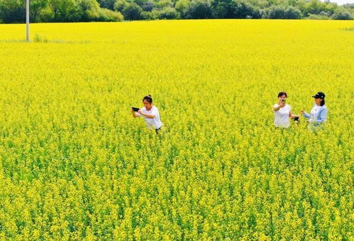 一、那马春游，一场与花的…哎呀，感觉有点热！