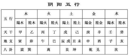 什么是食神？别急，先搞清楚这个基础概念