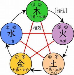 阴阳平衡理论