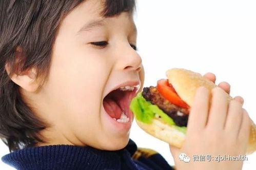 五行大乱炖