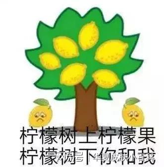 第三组：酸柠檬精天团