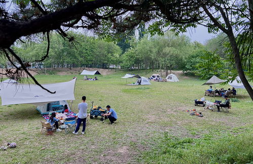 四、 生态旅游，感受大自然的力量，给心灵放个假