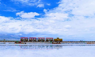 自驾VS跟团：2026年最新血泪排行榜