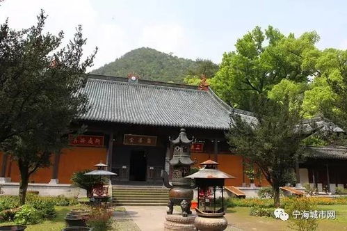 别被坑了！常见误导陷阱盘点