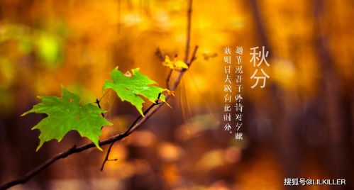 1. 生肖与丰收：十二生肖与农历周期