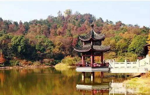 禹王碑：历史的印记（而且还挺重的！）