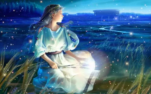 水瓶座：神经病式保护