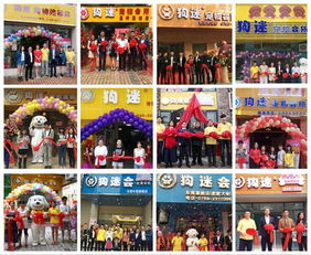 3.3 宠物乐园：萌宠的天堂