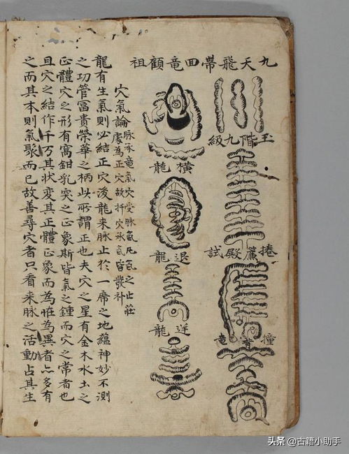 穷人们的黄金噩梦