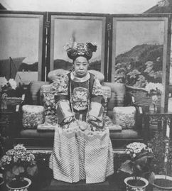 后妃介绍