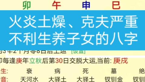 喜用食伤——让生活充满味觉与创意（随便写）