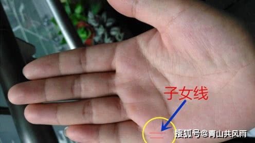 手相子女线位置图怎么看？手相上子女线如何解读？