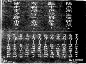 辛金人的悲催日常