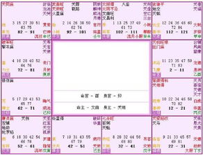 嬴政紫微命盘最详细解读，如何全面分析紫微命盘的各个方面？