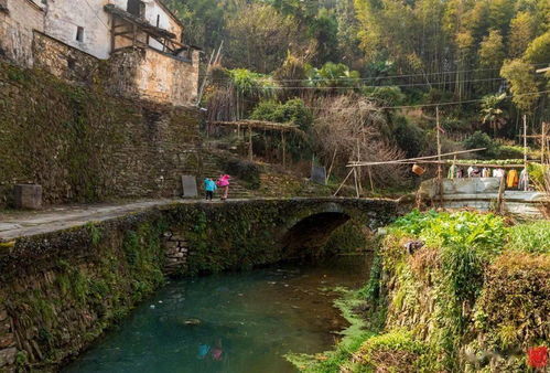 莲增村：绍兴山区的一颗明珠