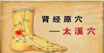 牛年牛月的坚韧
