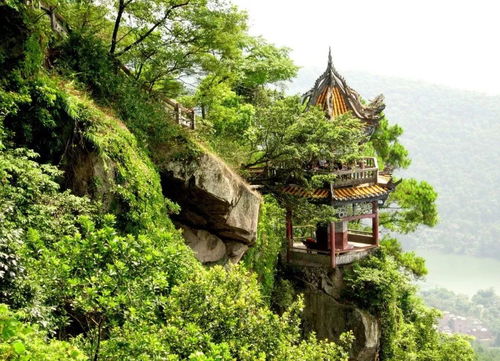 惊！2026年五一去西山公园竟会遭遇这种事？！生肖属虎的速看