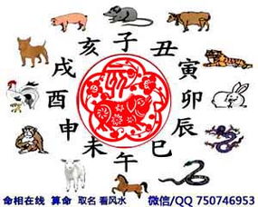 猪年出生人每月运势具体是什么含义？