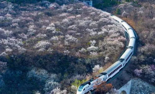 宜万铁路穿越山川，其终点究竟位于何方？
