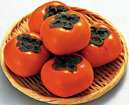品味柿子美食