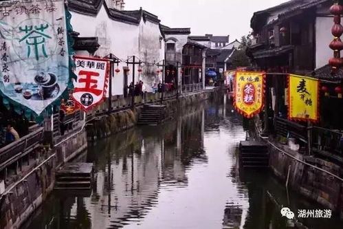 第一章：迷雾中的古镇