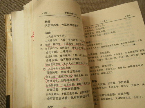 案例解析：不同命格下的命名策略 (450 字)