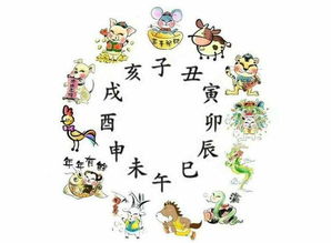 桃辰星命格和桃辰初度之庆分别指什么？
