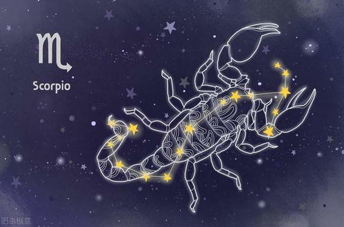 星座爱情大揭秘！这些星座一旦爱上就死心塌地