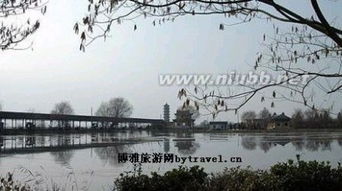 大纵湖：碧波荡漾的梦幻水域