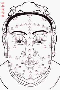 面相学冷知识大放送