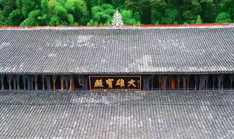 一、 离垢园的神秘面纱——一块被时间忘记的碎片