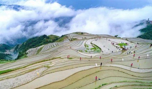 一、 云海梯田：被遗忘的山谷