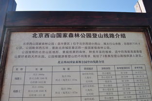 周三下午去最划算，信我准没错
