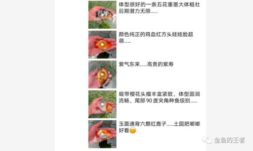 请问花姐八字口诀具体是什么？