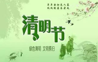 鼠年的阴阳五行冲突