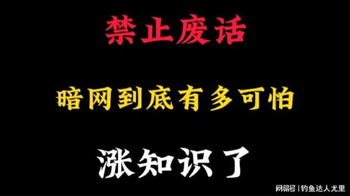 真相与恐惧