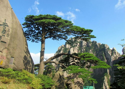 一、 涨价背后的“神秘力量”