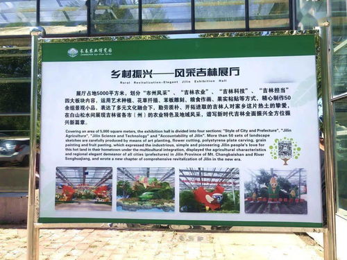 五、 吉林省东北虎园——猛兽与温柔并存