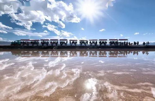 五、特色餐饮，味蕾上的盐湖之旅