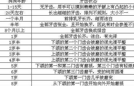 属鼠的人每年具体多少岁？年龄对照表是怎样的？
