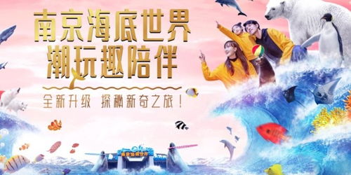 血泪控诉：458元的