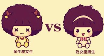 金牛男和金牛女 - 两只倔牛的爱情故事