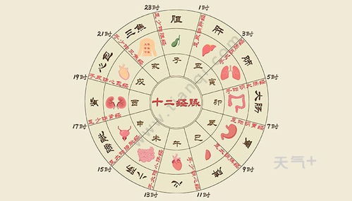 辰时（上午7:00-9:00）：