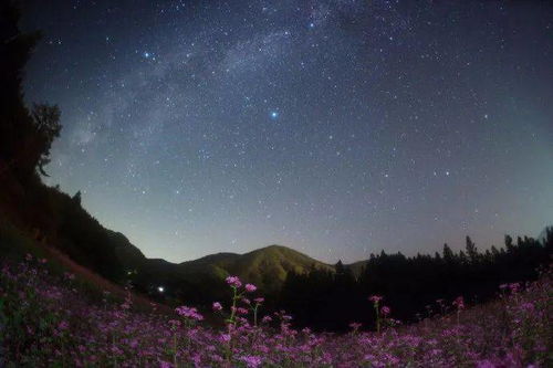 六、 夜幕降临：星空下的尴尬与浪漫并存…?