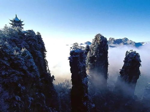 行业深度洞察：张家界至赤峰航班市场的真相（超长段落）