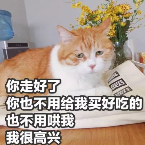 生肖运势：这几个生肖最容易撞邪