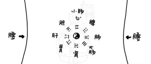 《三命通会》中的己酉日柱解析
