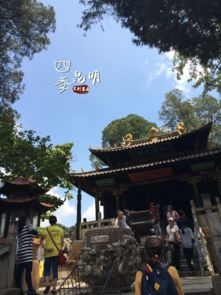 2.4 金殿风景区——金光闪闪的寺庙+不靠谱的导游解说