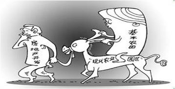 云南民宿老板的作死实录