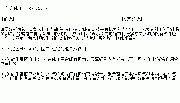 深入解析：之前都是一句一句分开解的，现在整体解一下之前解01256789……解得：七码2346789。严防组三。